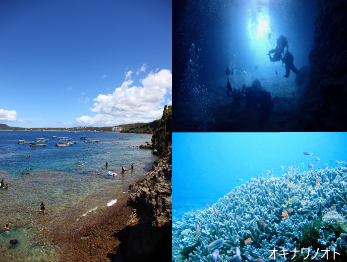真栄田岬のダイビングやサンゴ、魚