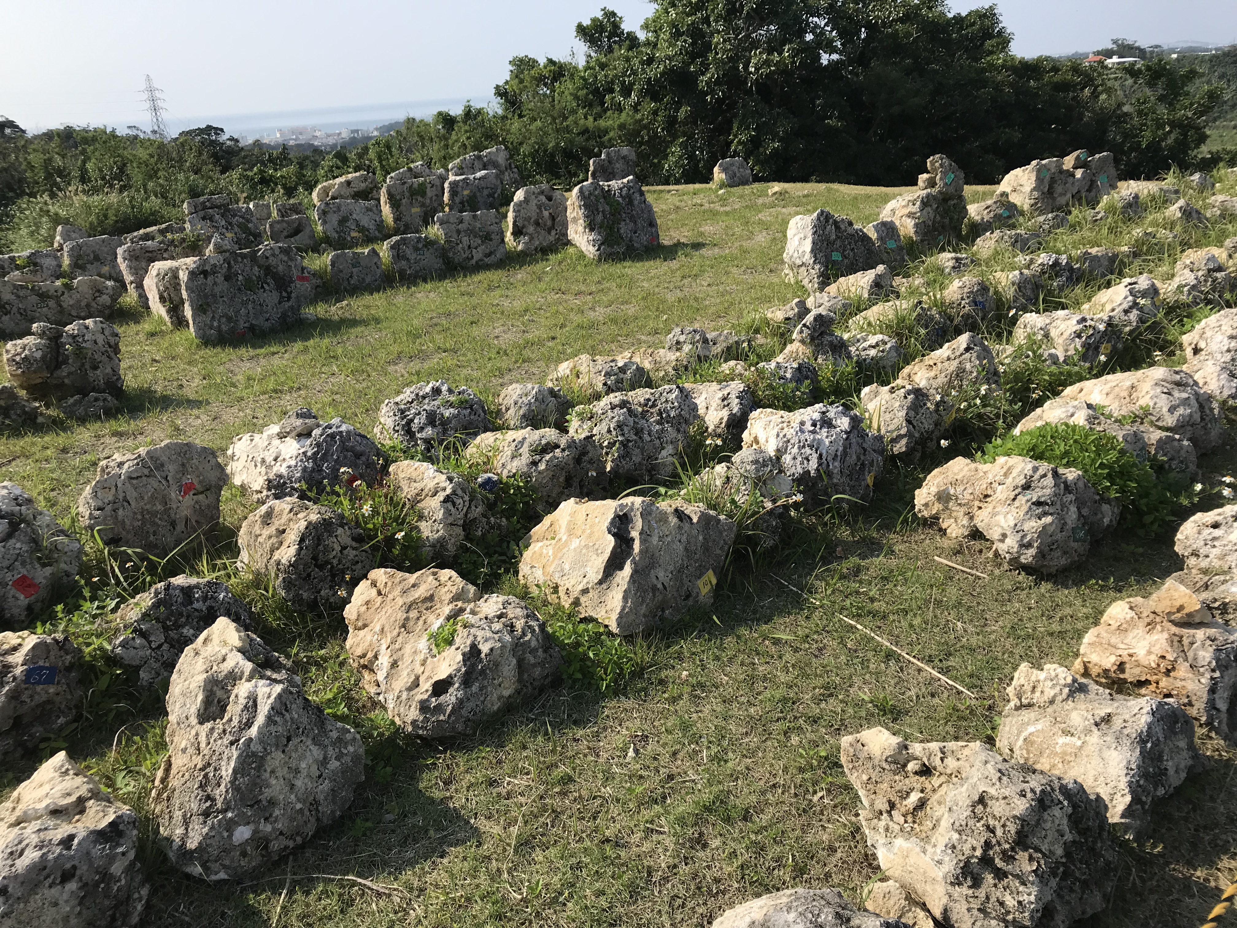 中城城跡の景観、石がたくさん置かれているが、理由は不明